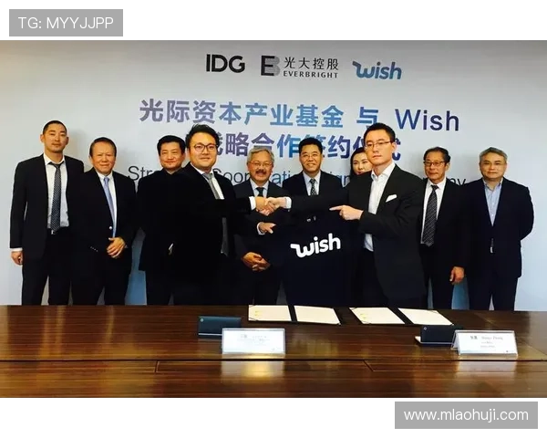 bogou电子的未来发展战略与全球市场布局全面解析