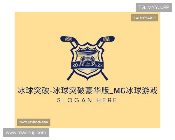 冰球突破豪华版网站玩家评价与真实体验分享助你选择最佳平台 冰球突破豪华版网站玩家评价与真实体验分享助你选择最佳平台