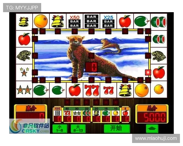 雪豹老虎机手机版下载最新版本，安全稳定玩法体验极佳